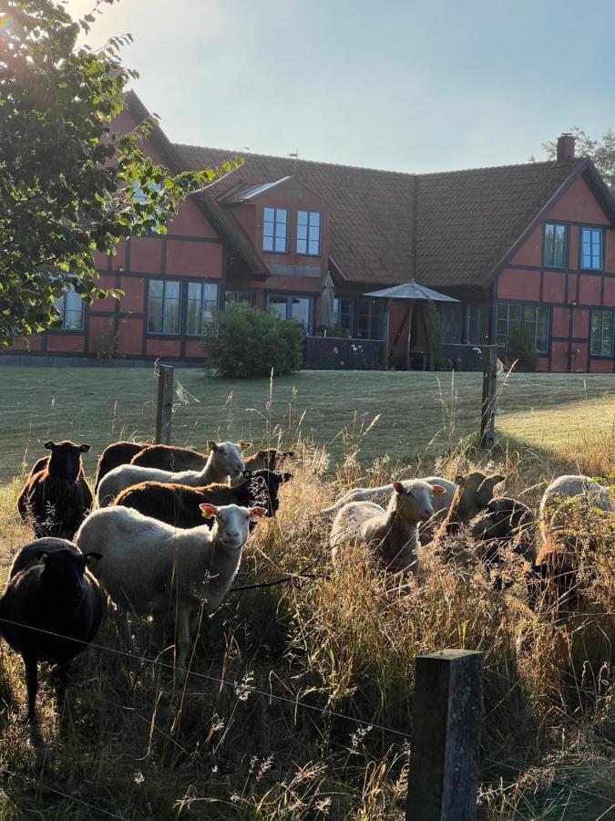 Villa Hasselbacken Garsnas Luaran gambar